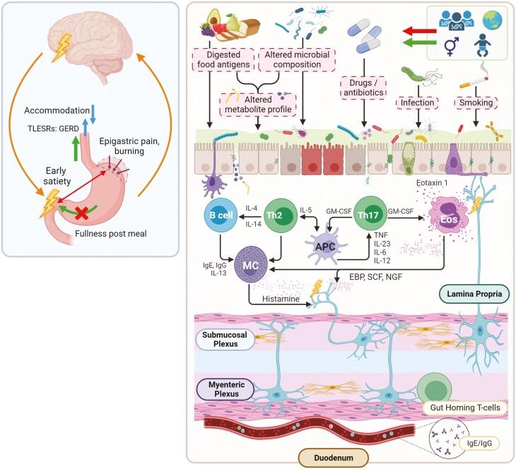 https://cdn.ncbi.nlm.nih.gov/pmc/blobs/7482/10723938/41b72fde579a/gwad046_fig3.jpg