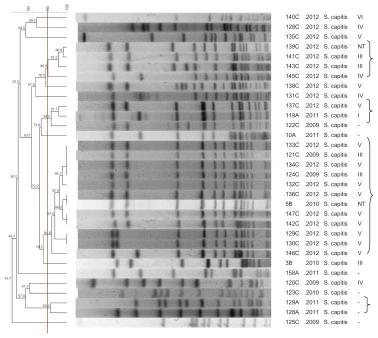 https://cdn.ncbi.nlm.nih.gov/pmc/blobs/7483/8308670/27ccb14ba921/pathogens-10-00792-g005.jpg