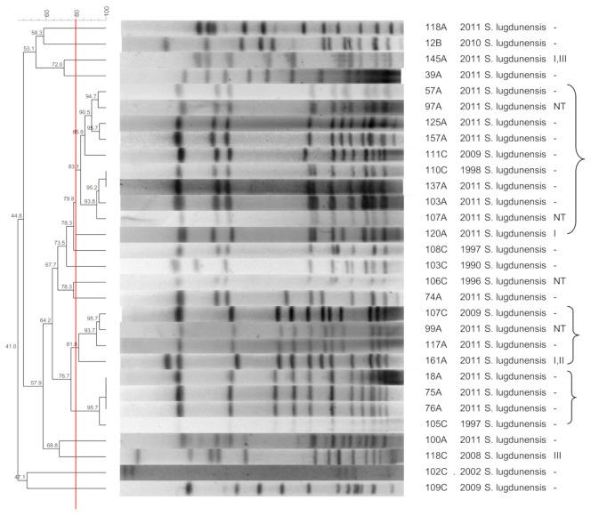 https://cdn.ncbi.nlm.nih.gov/pmc/blobs/7483/8308670/2dddaafd119d/pathogens-10-00792-g006.jpg
