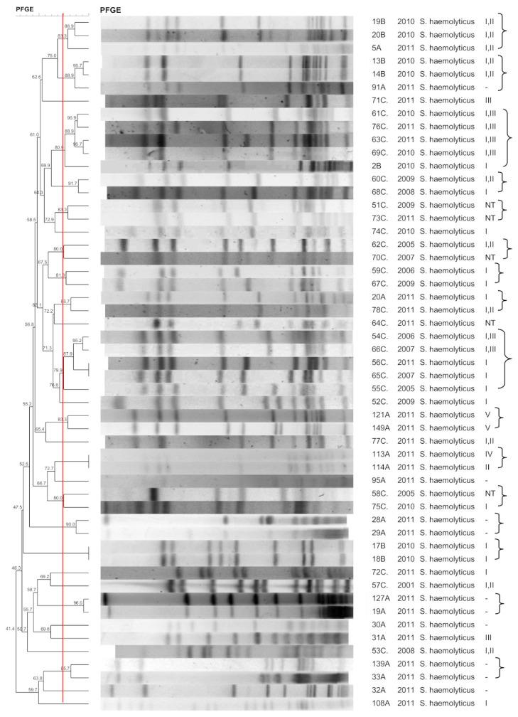 https://cdn.ncbi.nlm.nih.gov/pmc/blobs/7483/8308670/c75bf8cdd4e8/pathogens-10-00792-g002.jpg