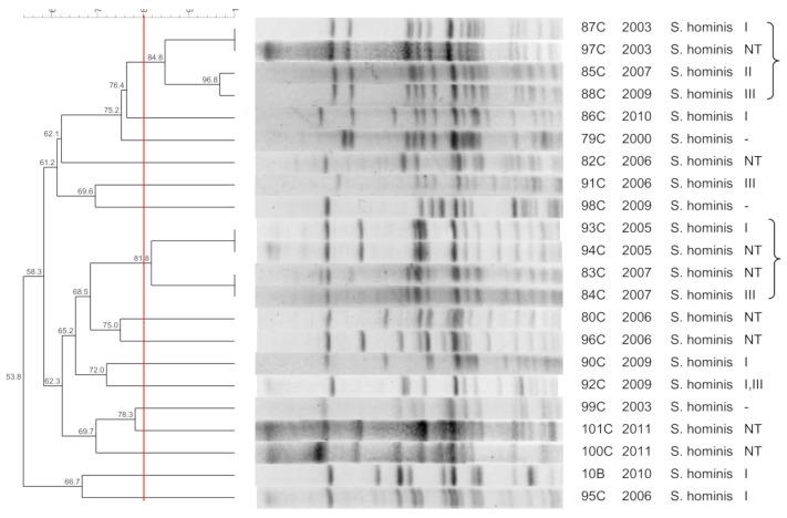 https://cdn.ncbi.nlm.nih.gov/pmc/blobs/7483/8308670/d866f15cff66/pathogens-10-00792-g004.jpg