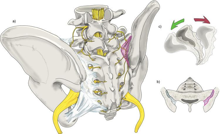 https://cdn.ncbi.nlm.nih.gov/pmc/blobs/7487/11075694/d9c33bba1cff/JPR-17-1601-g0001.jpg