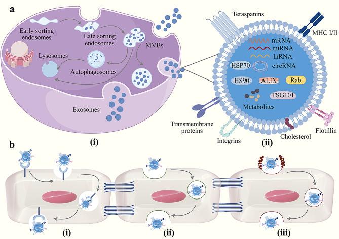 https://cdn.ncbi.nlm.nih.gov/pmc/blobs/7487/11184820/eab09cfffe88/12951_2024_2611_Fig2_HTML.jpg