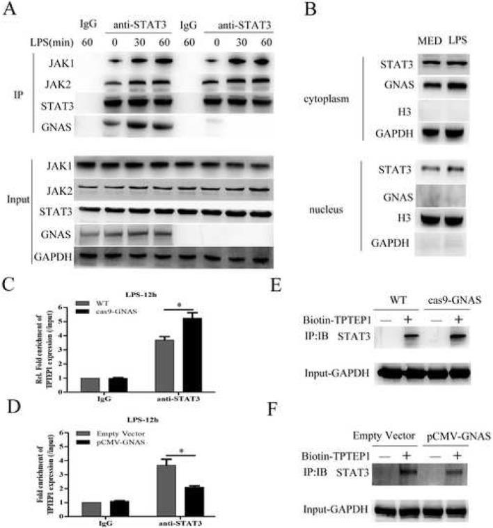 https://cdn.ncbi.nlm.nih.gov/pmc/blobs/7487/7038622/653f8004d4d0/11658_2020_204_Fig6_HTML.jpg