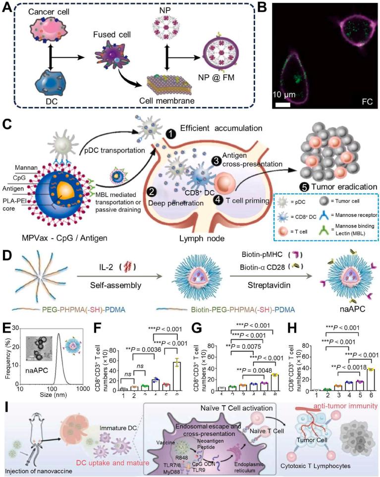 https://cdn.ncbi.nlm.nih.gov/pmc/blobs/7489/10940734/44f6ef2024dd/gr6.jpg