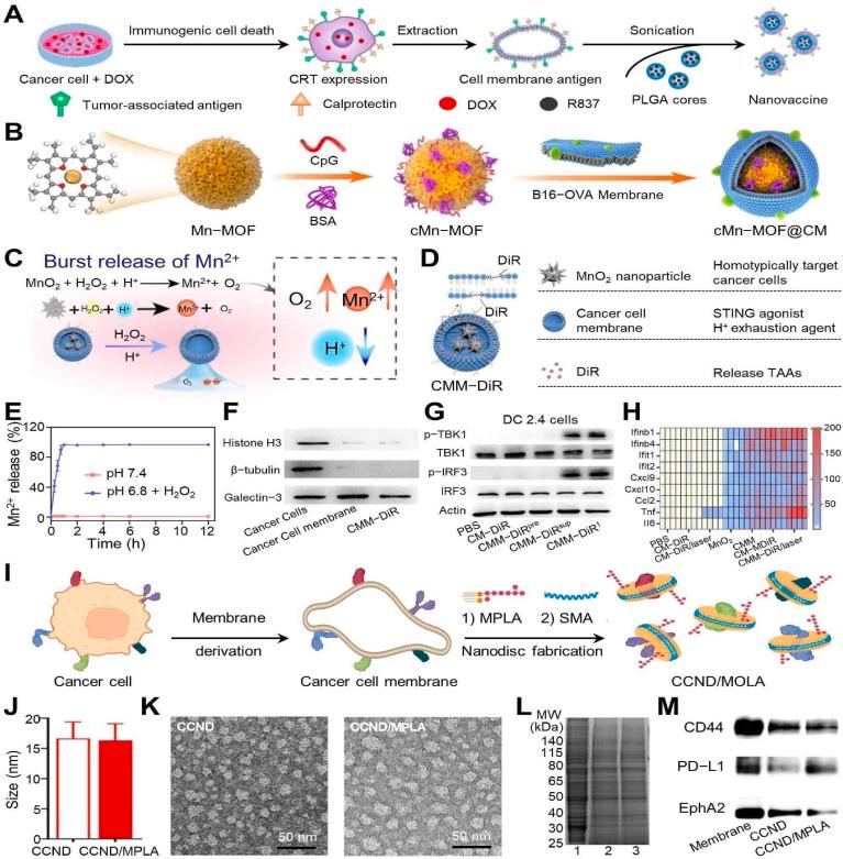 https://cdn.ncbi.nlm.nih.gov/pmc/blobs/7489/10940734/60881411a6c2/gr4.jpg