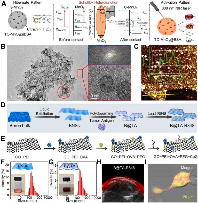 https://cdn.ncbi.nlm.nih.gov/pmc/blobs/7489/10940734/ae254a679e8a/gr2.jpg