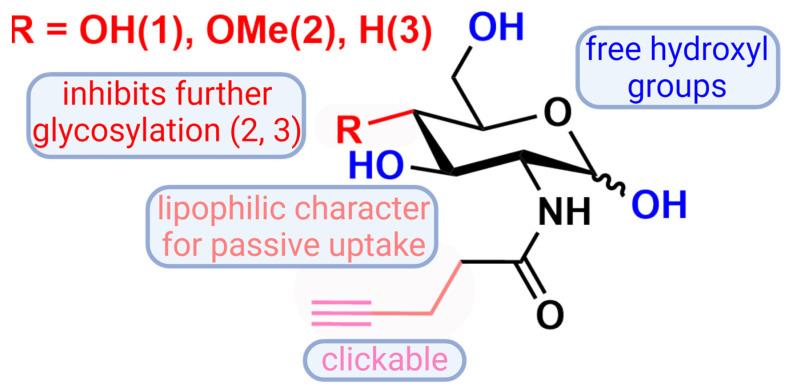 https://cdn.ncbi.nlm.nih.gov/pmc/blobs/7489/11592549/0b6f137944e9/cells-13-01831-g002.jpg