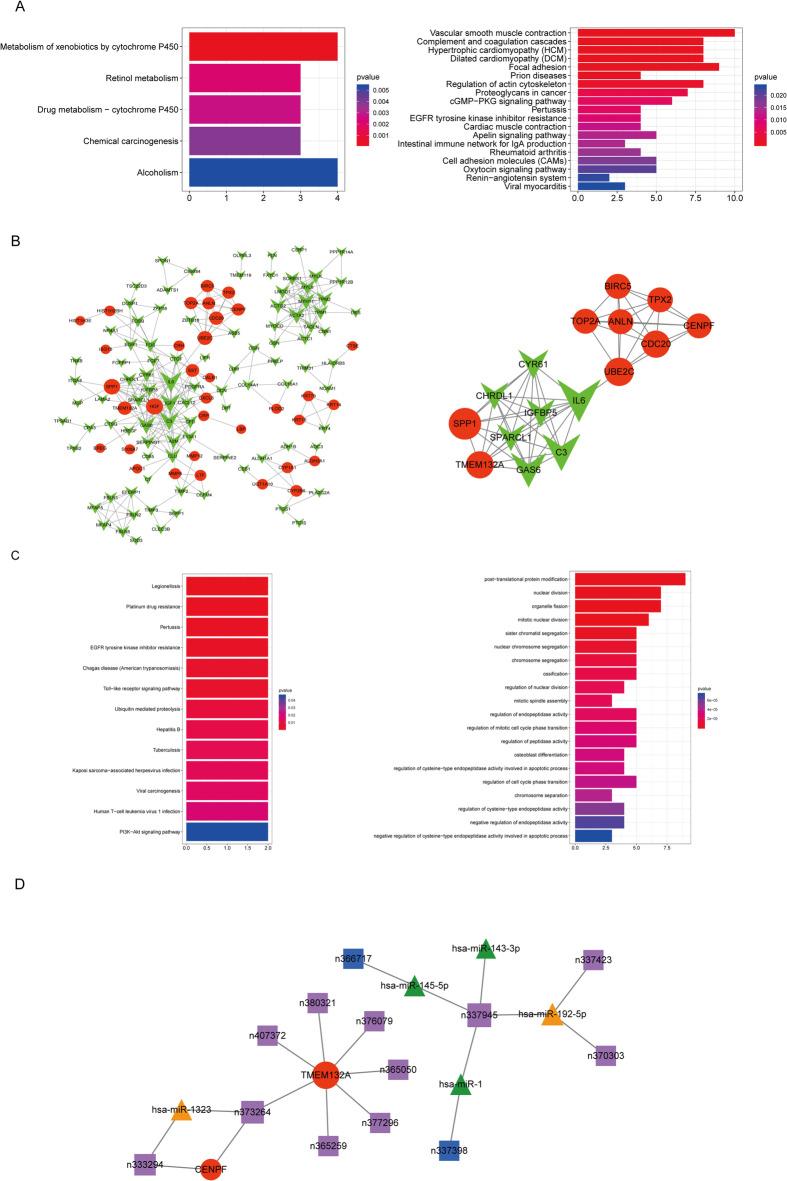 https://cdn.ncbi.nlm.nih.gov/pmc/blobs/748a/12259981/401b54ac7bc5/41598_2025_10677_Fig4_HTML.jpg