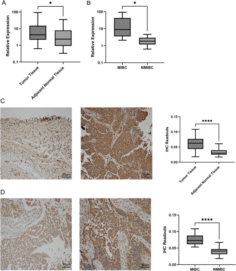 https://cdn.ncbi.nlm.nih.gov/pmc/blobs/748a/12259981/7b2a605af1c2/41598_2025_10677_Fig2_HTML.jpg