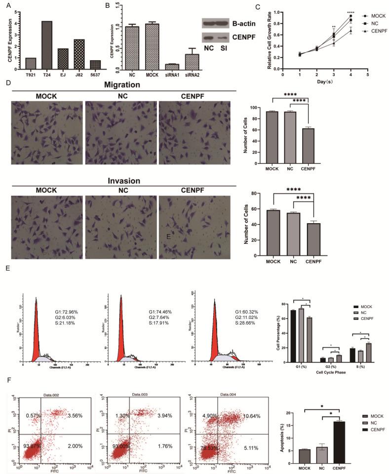 https://cdn.ncbi.nlm.nih.gov/pmc/blobs/748a/12259981/86cdff560328/41598_2025_10677_Fig3_HTML.jpg