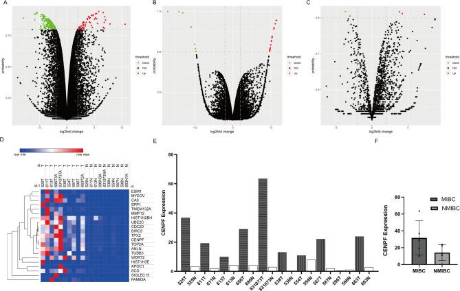 https://cdn.ncbi.nlm.nih.gov/pmc/blobs/748a/12259981/ebbcc3a5ccbd/41598_2025_10677_Fig1_HTML.jpg