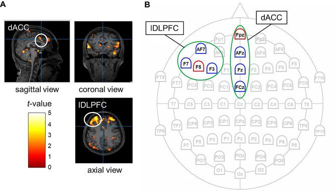 https://cdn.ncbi.nlm.nih.gov/pmc/blobs/748c/11138099/a09e3bf30050/12984_2024_1385_Fig4_HTML.jpg