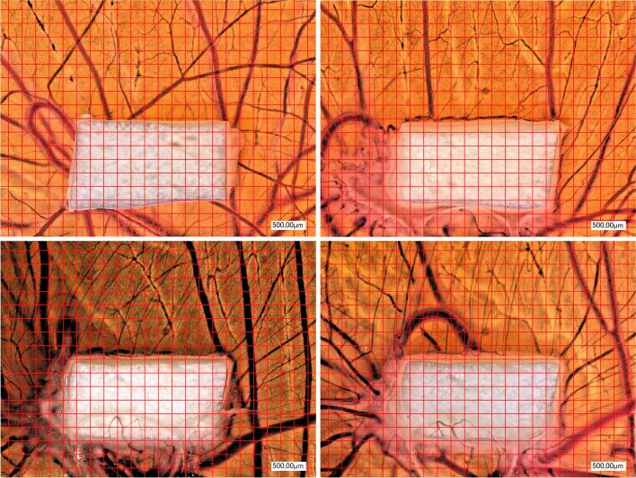https://cdn.ncbi.nlm.nih.gov/pmc/blobs/748d/10791820/1bffa971fce4/784_2023_5485_Fig1_HTML.jpg
