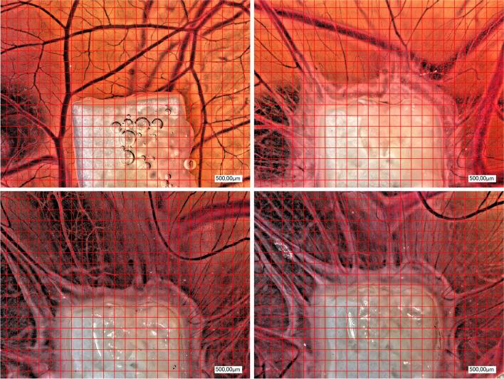 https://cdn.ncbi.nlm.nih.gov/pmc/blobs/748d/10791820/73e867109757/784_2023_5485_Fig3_HTML.jpg