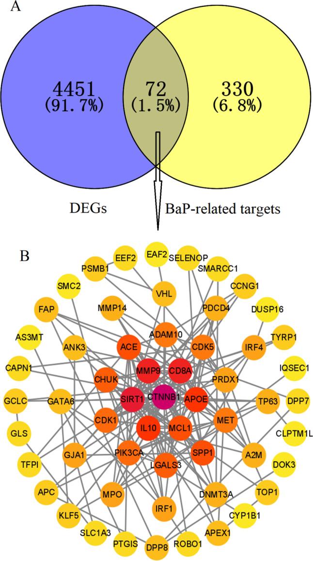 https://cdn.ncbi.nlm.nih.gov/pmc/blobs/748d/11834632/33d79183e48f/40360_2025_842_Fig1_HTML.jpg