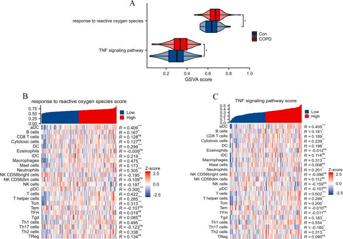 https://cdn.ncbi.nlm.nih.gov/pmc/blobs/748d/11834632/5cb8a5659716/40360_2025_842_Fig5_HTML.jpg