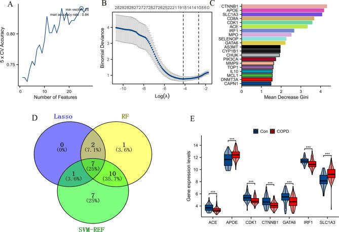 https://cdn.ncbi.nlm.nih.gov/pmc/blobs/748d/11834632/679b7d51ba33/40360_2025_842_Fig6_HTML.jpg