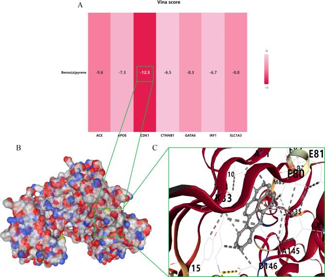 https://cdn.ncbi.nlm.nih.gov/pmc/blobs/748d/11834632/87f54086cd37/40360_2025_842_Fig9_HTML.jpg
