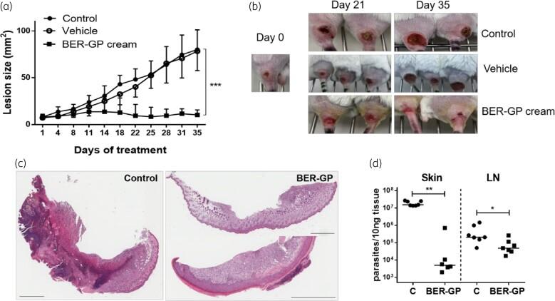 https://cdn.ncbi.nlm.nih.gov/pmc/blobs/748f/9000957/97ff4c016175/dkac007f2.jpg