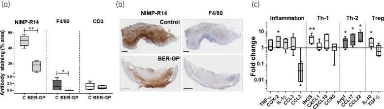 https://cdn.ncbi.nlm.nih.gov/pmc/blobs/748f/9000957/f8b3e924c742/dkac007f3.jpg