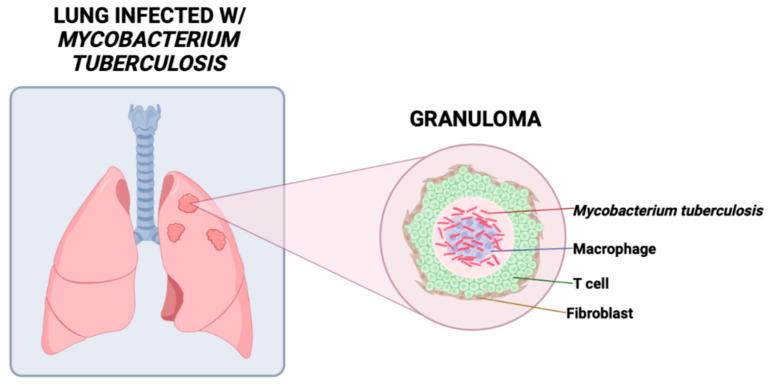 https://cdn.ncbi.nlm.nih.gov/pmc/blobs/7491/10887847/3881c01b0994/clinpract-14-00017-g001.jpg