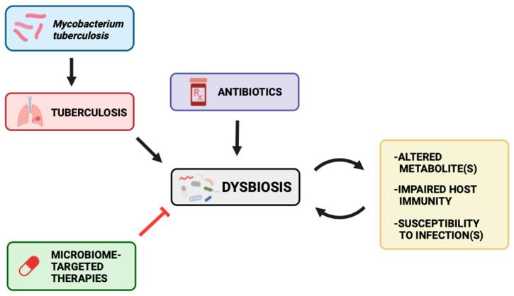 https://cdn.ncbi.nlm.nih.gov/pmc/blobs/7491/10887847/4c00c942c0df/clinpract-14-00017-g004.jpg