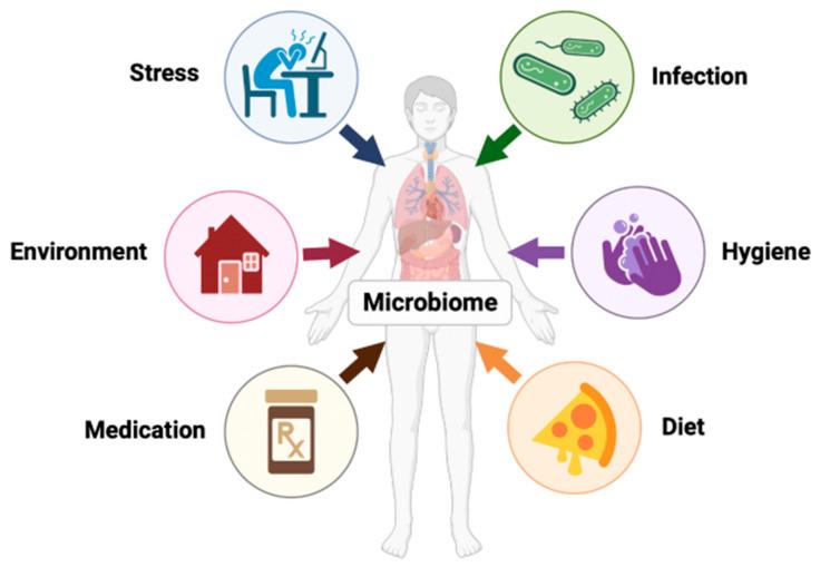 https://cdn.ncbi.nlm.nih.gov/pmc/blobs/7491/10887847/8a6567cf4cd1/clinpract-14-00017-g002.jpg