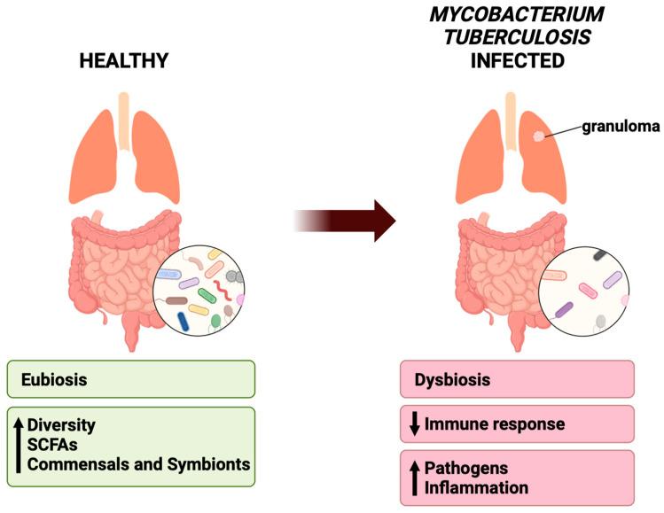 https://cdn.ncbi.nlm.nih.gov/pmc/blobs/7491/10887847/fc70ea905a09/clinpract-14-00017-g003.jpg
