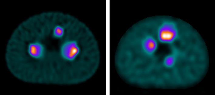 https://cdn.ncbi.nlm.nih.gov/pmc/blobs/7491/12006590/a7f774dc6ddf/40658_2025_749_Fig4_HTML.jpg