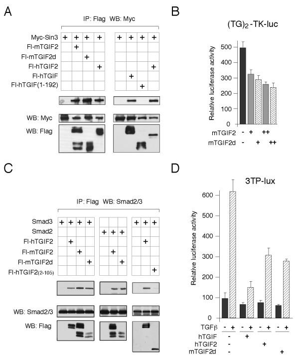 https://cdn.ncbi.nlm.nih.gov/pmc/blobs/7492/1402312/0cd30925cf3a/1471-2199-7-2-3.jpg