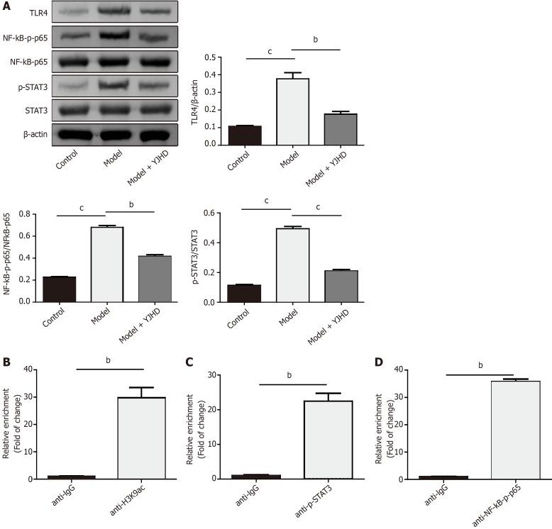 https://cdn.ncbi.nlm.nih.gov/pmc/blobs/7493/11271778/f6b58a53a7f0/WJGO-16-3158-g004.jpg