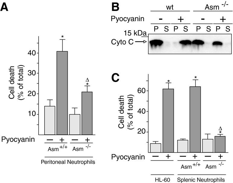 https://cdn.ncbi.nlm.nih.gov/pmc/blobs/7493/4403017/fc46c004aa16/fig-7.jpg