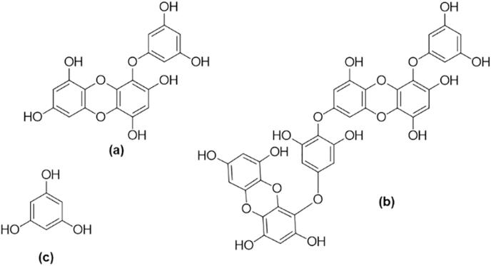 https://cdn.ncbi.nlm.nih.gov/pmc/blobs/7494/7921624/5ae1f569275e/gr4.jpg