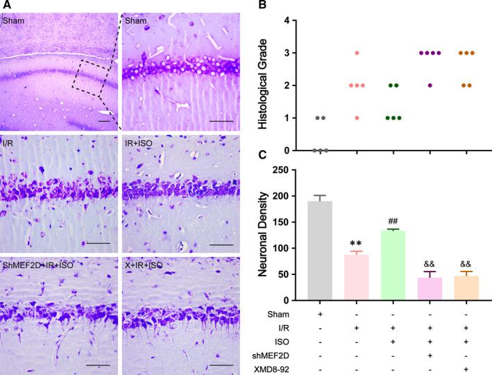 https://cdn.ncbi.nlm.nih.gov/pmc/blobs/7495/8051747/de9a9a3bdf17/JCMM-25-3803-g002.jpg