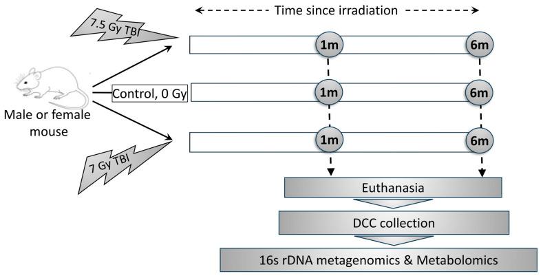 https://cdn.ncbi.nlm.nih.gov/pmc/blobs/7498/12071923/7abd27510e80/ijms-26-04227-g001.jpg