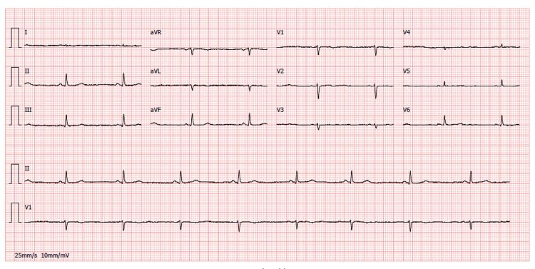 https://cdn.ncbi.nlm.nih.gov/pmc/blobs/749b/10911173/5ff67cc52035/cureus-0016-00000053501-i01.jpg