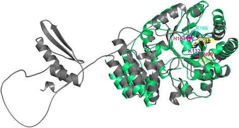 https://cdn.ncbi.nlm.nih.gov/pmc/blobs/749b/3674756/2dccb75603da/1471-2105-13-153-8.jpg