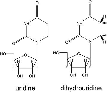 https://cdn.ncbi.nlm.nih.gov/pmc/blobs/749b/3674756/528076d27e0d/1471-2105-13-153-1.jpg