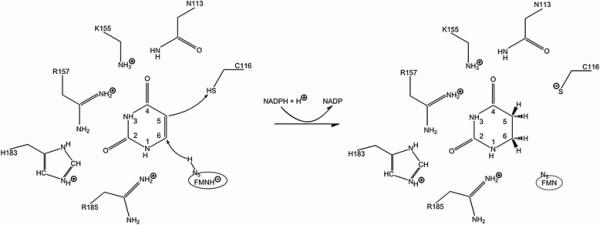 https://cdn.ncbi.nlm.nih.gov/pmc/blobs/749b/3674756/7f0ae292a379/1471-2105-13-153-9.jpg