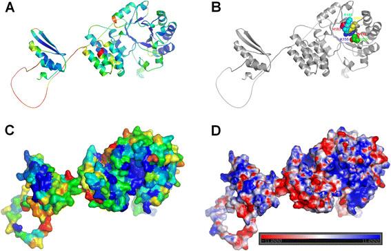 https://cdn.ncbi.nlm.nih.gov/pmc/blobs/749b/3674756/920af5687169/1471-2105-13-153-7.jpg