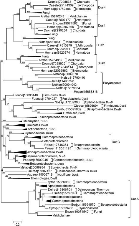 https://cdn.ncbi.nlm.nih.gov/pmc/blobs/749b/3674756/c9aef14a296b/1471-2105-13-153-5.jpg