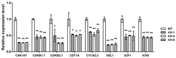 https://cdn.ncbi.nlm.nih.gov/pmc/blobs/749b/7290928/93118b83aafb/genes-11-00581-g006.jpg