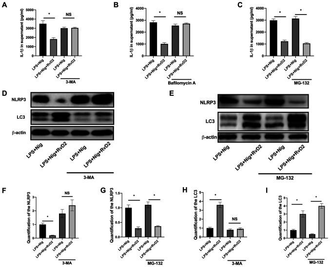 https://cdn.ncbi.nlm.nih.gov/pmc/blobs/749b/8453332/29e136260fa3/etm-22-05-10656-g02.jpg