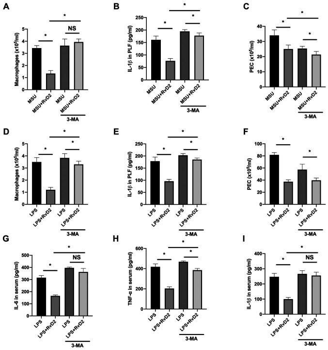 https://cdn.ncbi.nlm.nih.gov/pmc/blobs/749b/8453332/f647c832a45e/etm-22-05-10656-g03.jpg