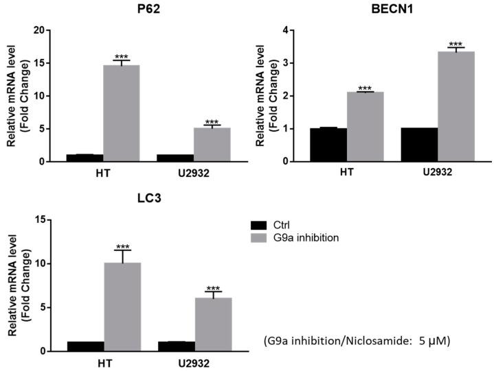 https://cdn.ncbi.nlm.nih.gov/pmc/blobs/749c/10452841/7224fc016b3c/cancers-15-04150-g004.jpg