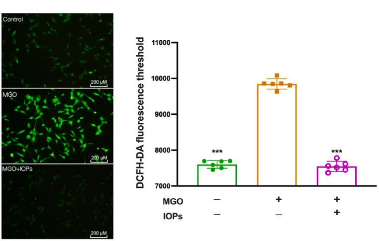 https://cdn.ncbi.nlm.nih.gov/pmc/blobs/749d/10944218/92fde79a145e/gr6.jpg