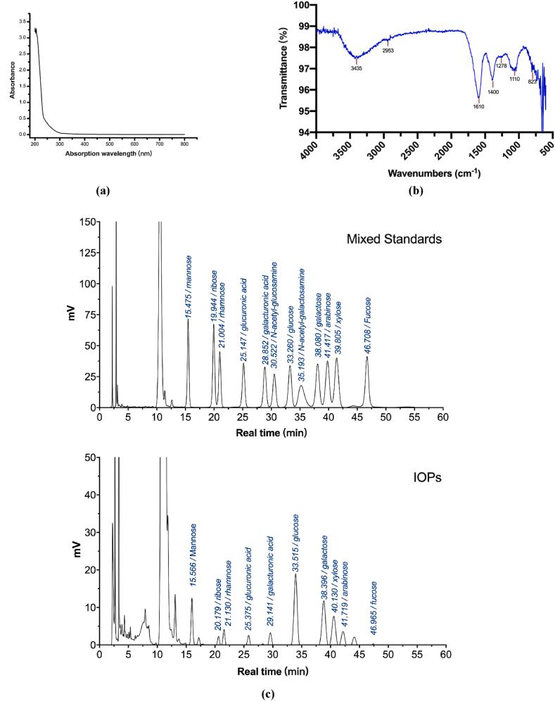https://cdn.ncbi.nlm.nih.gov/pmc/blobs/749d/10944218/d5cd56d86eef/gr3a.jpg