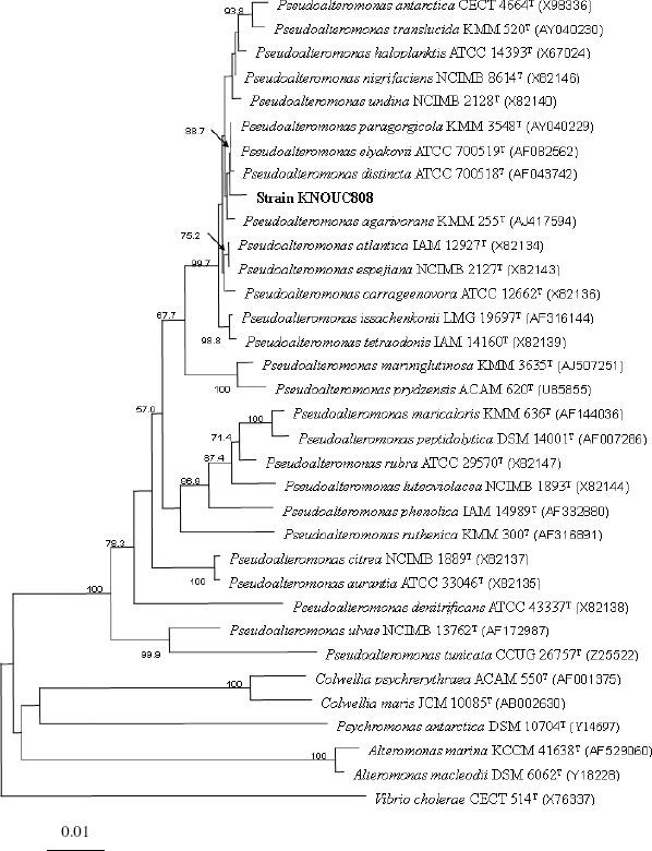 https://cdn.ncbi.nlm.nih.gov/pmc/blobs/749d/3768794/0900e222baab/bjm-42-927-g002.jpg