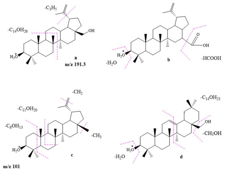 https://cdn.ncbi.nlm.nih.gov/pmc/blobs/749e/10458966/6de87f5d948e/molecules-28-05946-g007.jpg